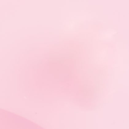 Lisieux - Rose