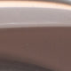 Braun