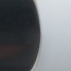 Brest - Silber