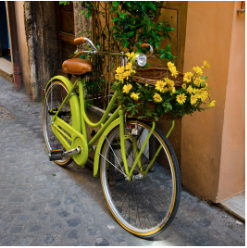 Fahrrad